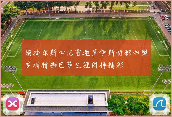 胡梅尔斯回忆曾邀罗伊斯特狮加盟多特特狮巴萨生涯同样精彩