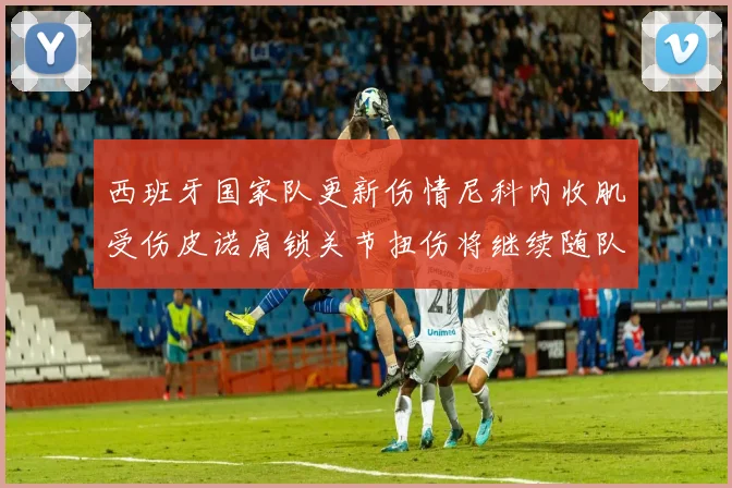 西班牙国家队更新伤情尼科内收肌受伤皮诺肩锁关节扭伤将继续随队训练