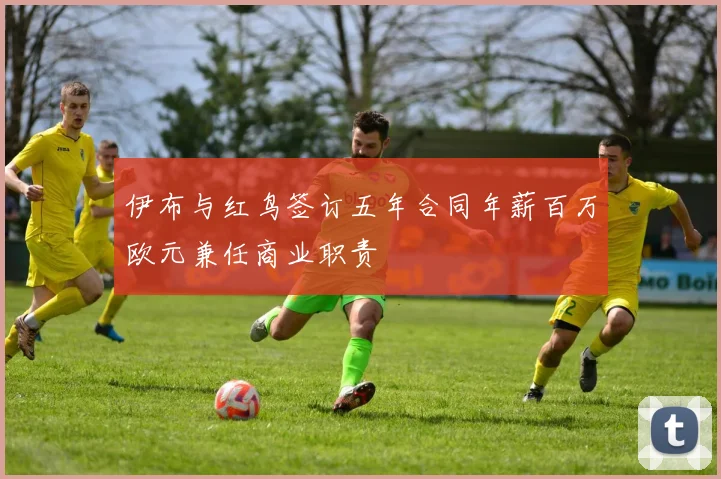 伊布与红鸟签订五年合同年薪百万欧元兼任商业职责