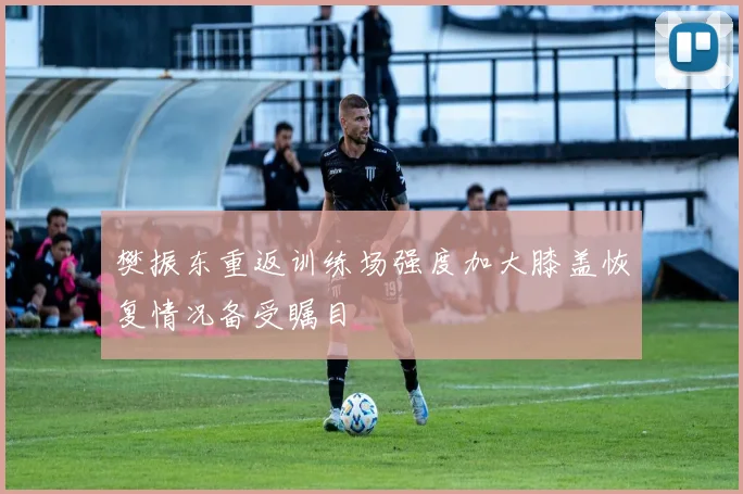樊振东重返训练场强度加大膝盖恢复情况备受瞩目